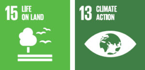 UN Sustainable goals environmental